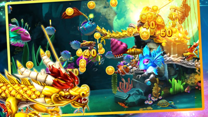 Đa dạng loại cá và Boss Rồng 