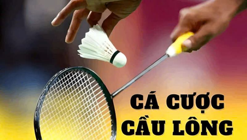 Cá Cược Cầu Lông tại OK88 – Hướng dẫn chi tiết, cơ hội kiếm tiền lớn 1 Cá Cược Cầu Lông tại Nhà cái OK88