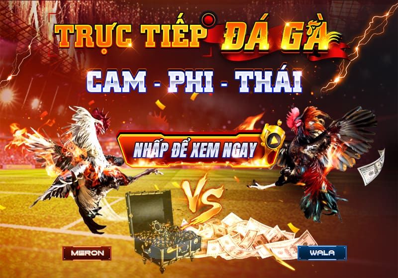 Khám phá Đá Gà OK88 – Tận hưởng trận đấu kịch tính & cơ hội thắng đậm 1 Đá Gà trực tuyến tại Nhà cái OK88